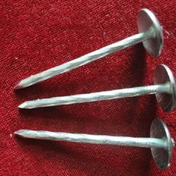 高密市宏宇五金制品廠 專業(yè)銷售鍍鋅瓦楞釘的可靠供應商