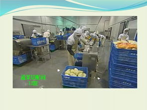 冷鏈食品工廠基礎指南 從冷鏈原理到運營關鍵