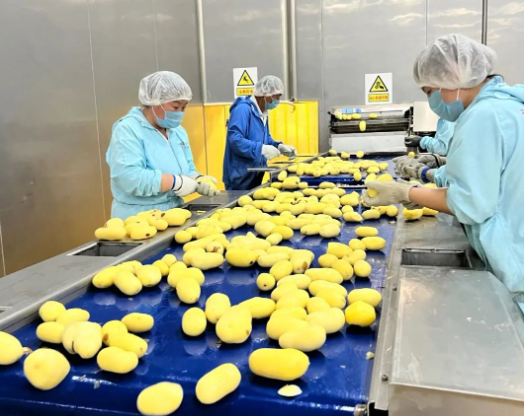 福滿興食品廠正式投產 匠心鑄就安全美味的食品新未來